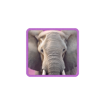 safari-wilds_symbol_h_elephant_a