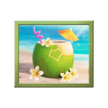 bali-vacation_h_coconut