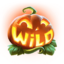 MrHallowWin_Wild